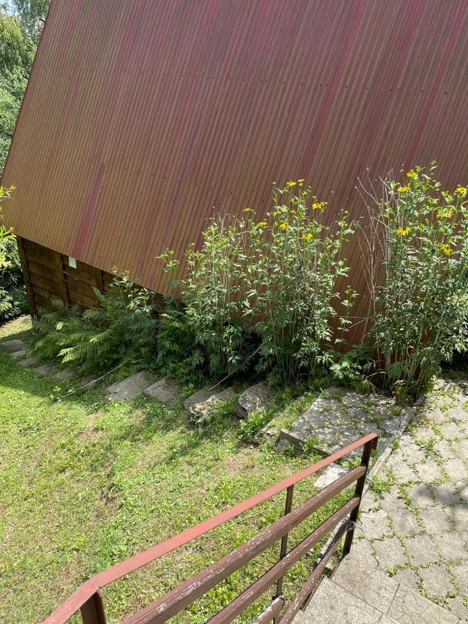 Domek Na Gorze Z Pieknym Widokiem Bukowiec  Exterior foto